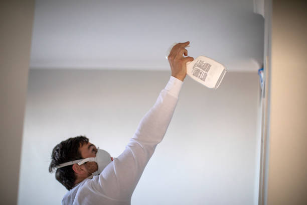 Best Office Mold Removal Services  in Berkeley, CA
