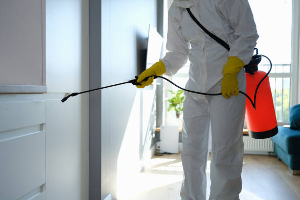 Best Professional Mold Removal  in Berkeley, CA