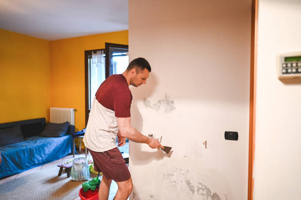 Best Emergency Mold Removal  in Berkeley, CA